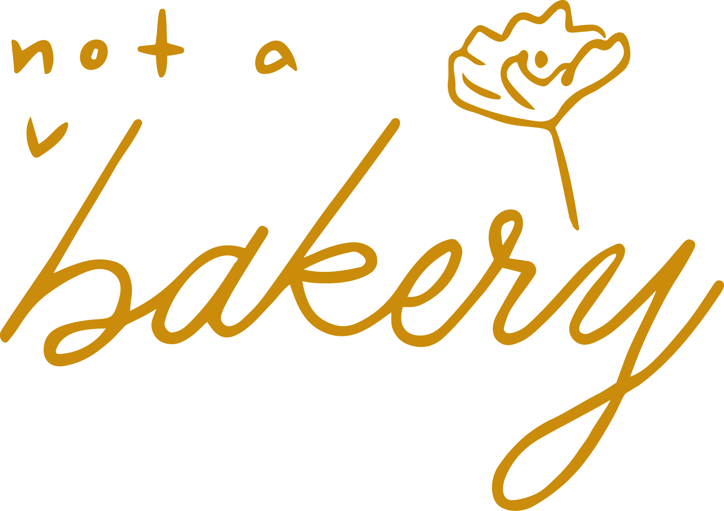 Not A Bakery